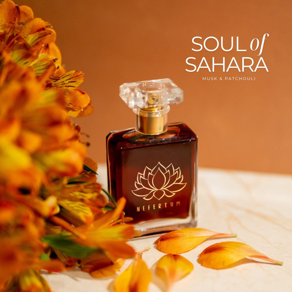 Our Latest - Soul of Sahara