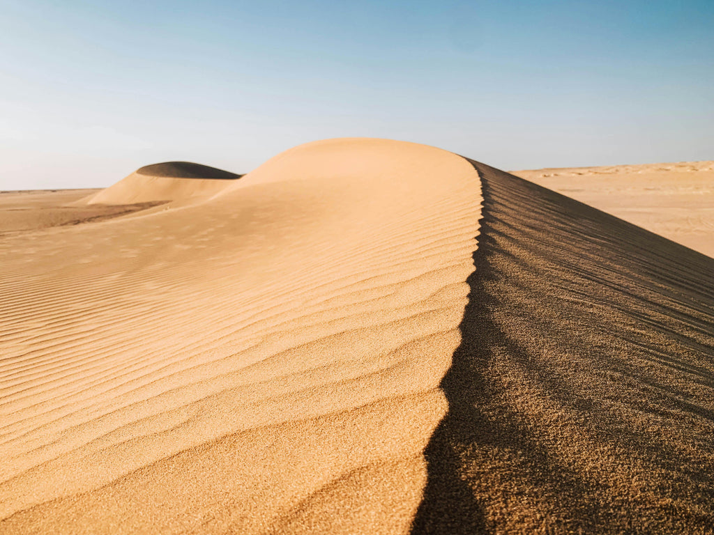 Egyptian Desert